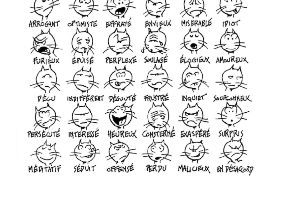 Capture d’écran 2022-05-08 à 11.31.34 Capture d’écran 2022-05-08 à 11.31.34